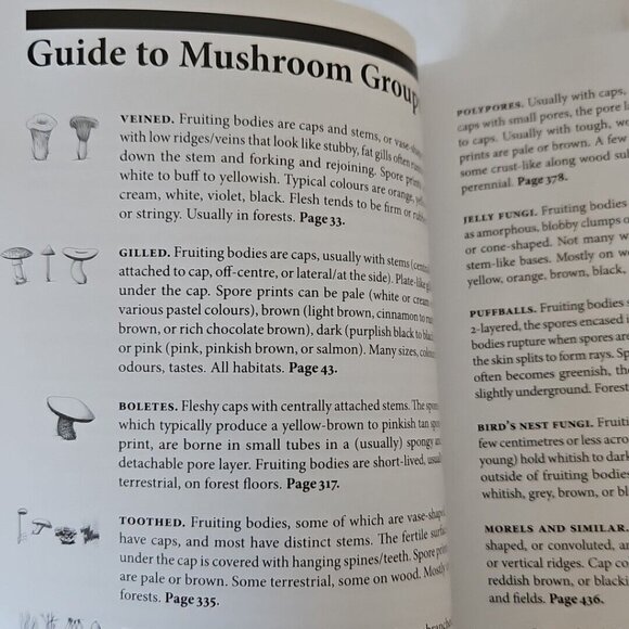 Mushrooms of British Columbia Field Guide Identification Handbook MacKinnon Andy - Picture 11 of 16